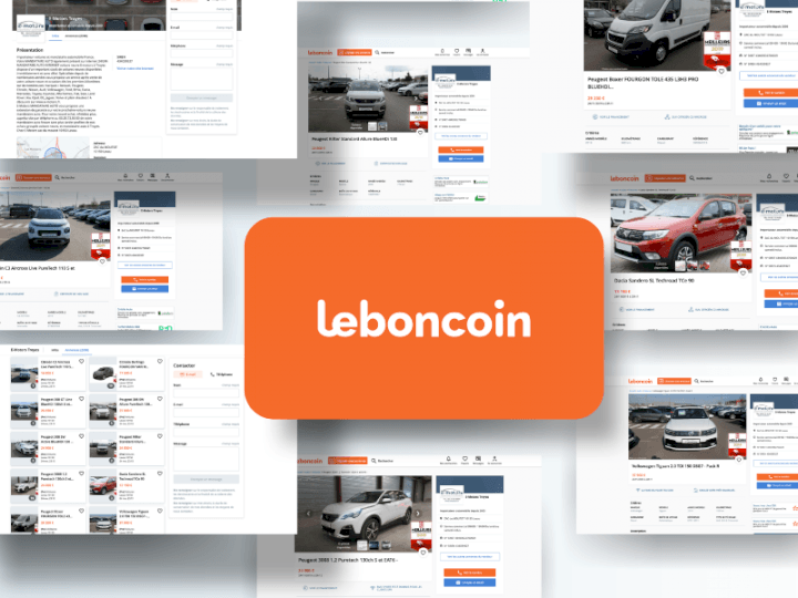 E-Motors sur  Leboncoin